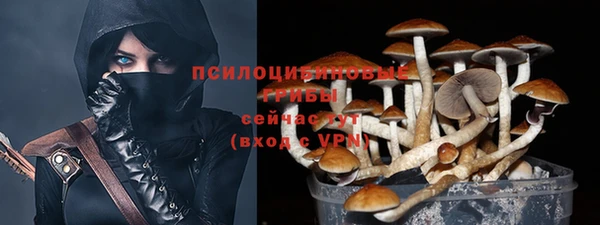 индика Горно-Алтайск
