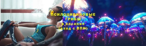 сатива Вязники