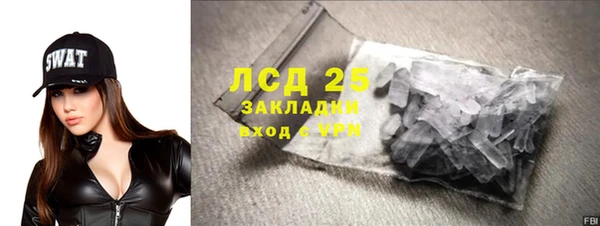 индика Горно-Алтайск
