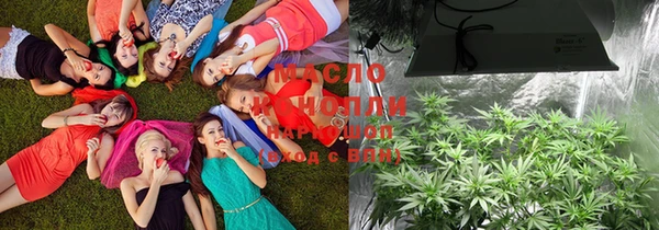 сатива Вязники