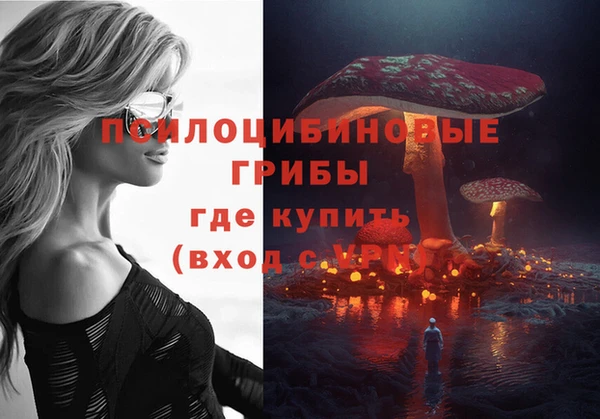 mdpv Вязьма