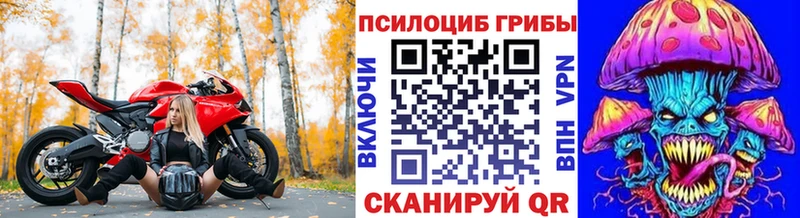 Псилоцибиновые грибы GOLDEN TEACHER  Купить закладки  Менделеевск 